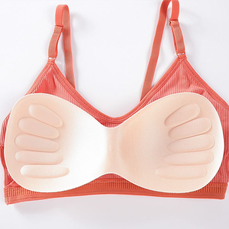 Bra Tanpa Kawat Musim Panas Wa - T Shirt Bra Seamless ulasan dan harga